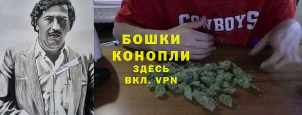 ГАЛЛЮЦИНОГЕННЫЕ ГРИБЫ Михайловка